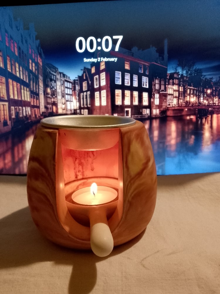Handmade Wax Melts Burner   Earth