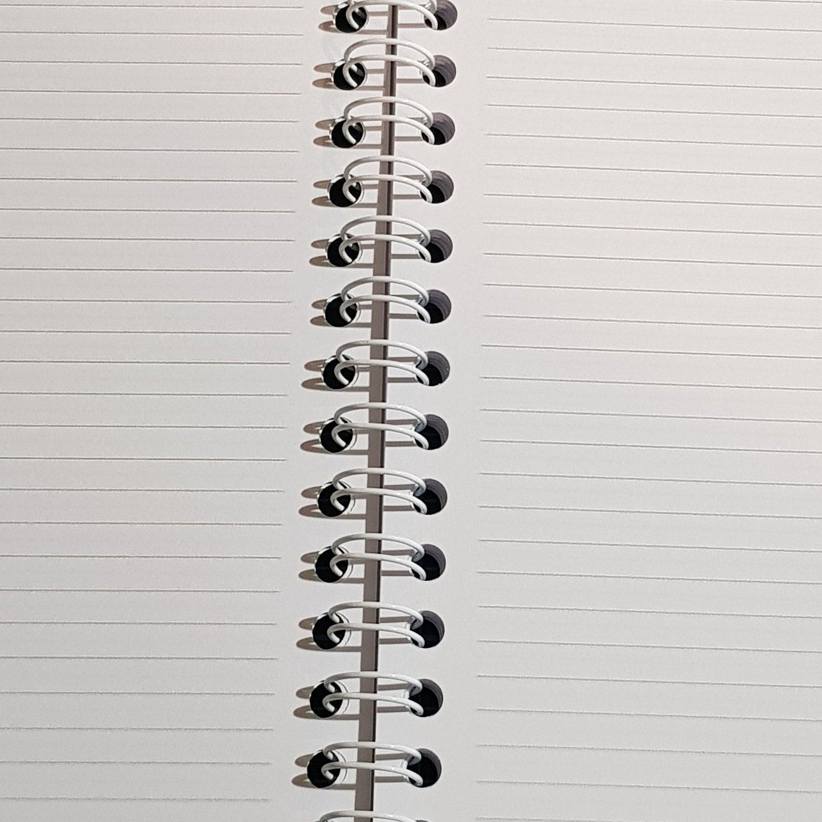 Mushroom House Notebook spiral - Image 4