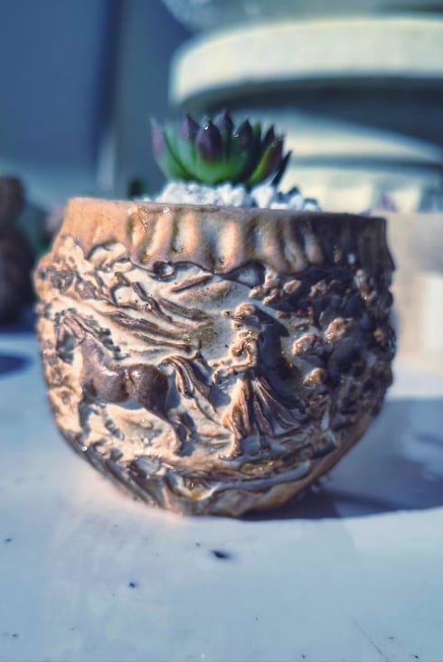 LadyHorse - Sempervivum (με παχύφυτο) - Image 2