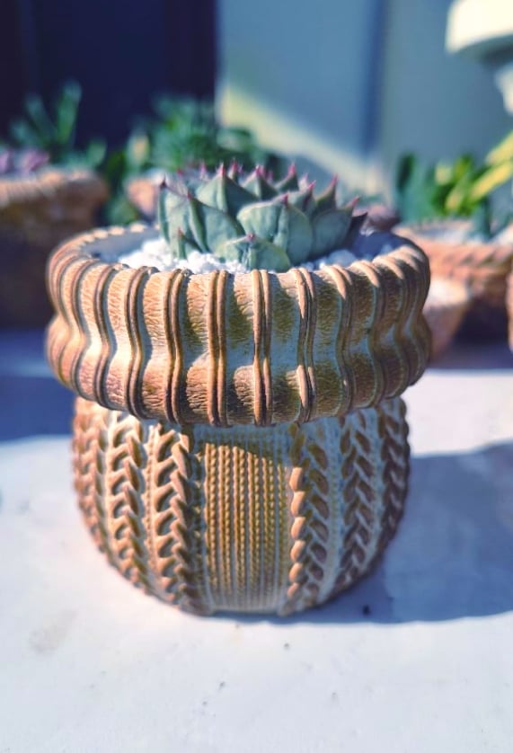 TeraPullover Medium Echeveria agavoid(με παχύφυτο)