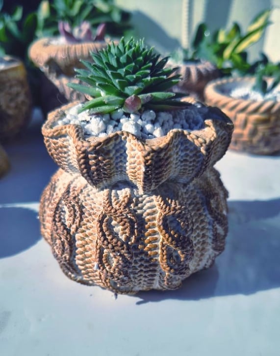 TeraPullover medium  - sempervivum (με φυτό)