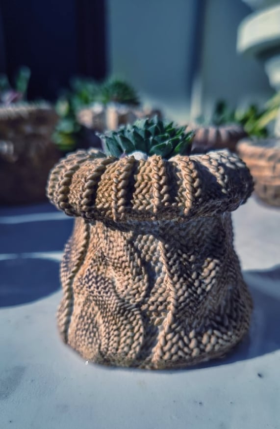 TeraPullover small Sempervivum (με παχύφυτο) - Image 3